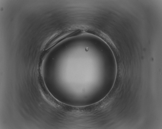 X0000086270538200704051312