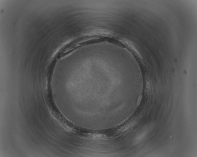 X0000086270539200704051312