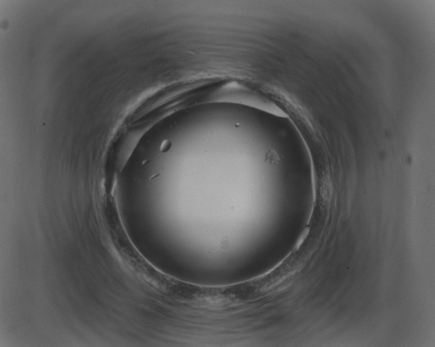 X0000086270540200704051312