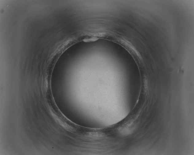 X0000086270541200704051312