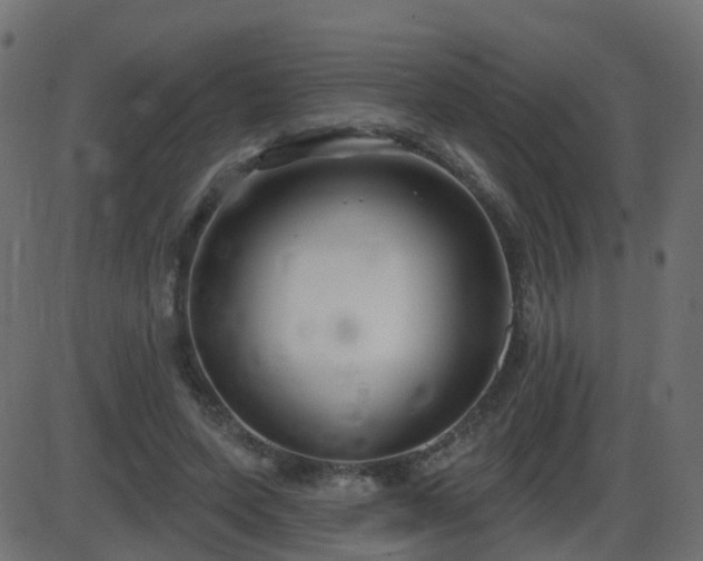 X0000086270543200704051312