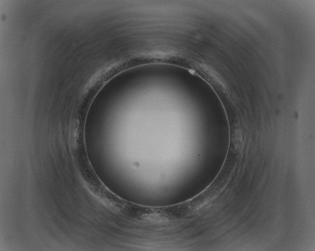 X0000086270544200704051312