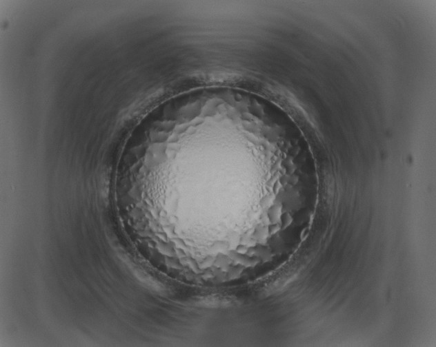 X0000086270545200704051312