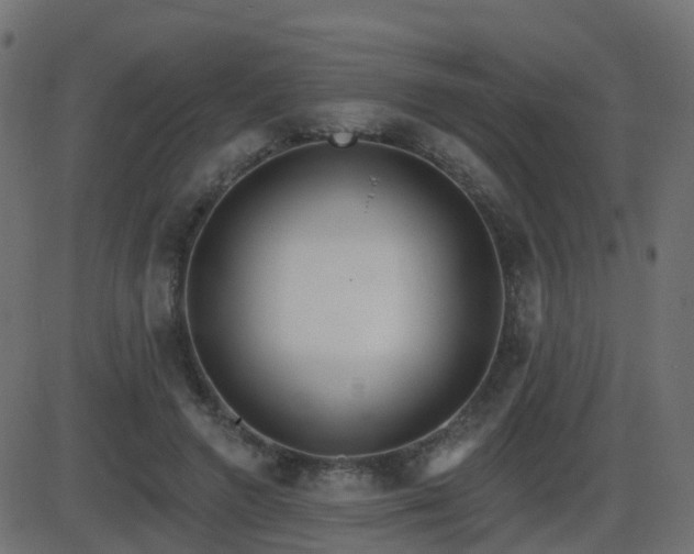 X0000086270546200704051312