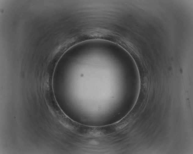 X0000086270547200704051312