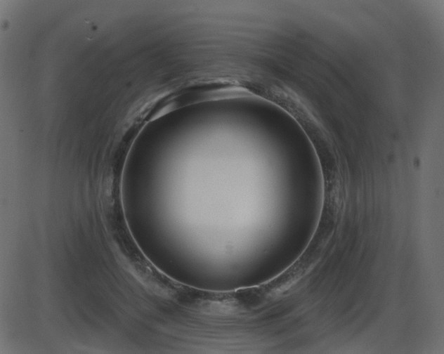 X0000086270548200704051312