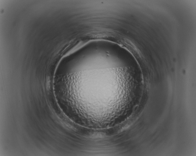 X0000086270549200704051312