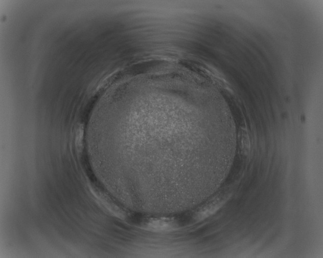 X0000086270550200704051312