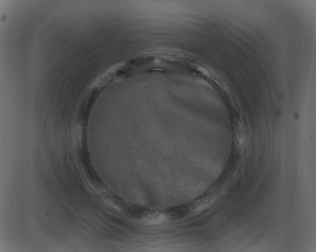 X0000086270551200704051312