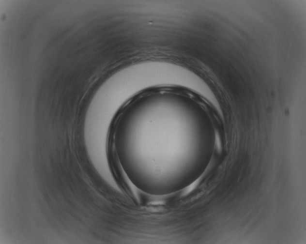 X0000086270552200704051312