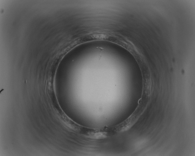 X0000086270553200704051312