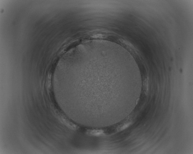 X0000086270554200704051312