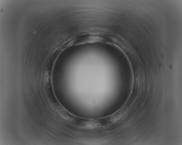 X0000086270555200704051312