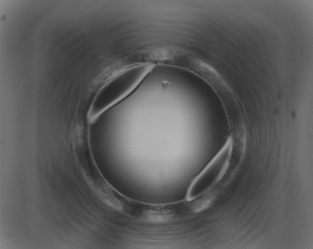 X0000086270556200704051312