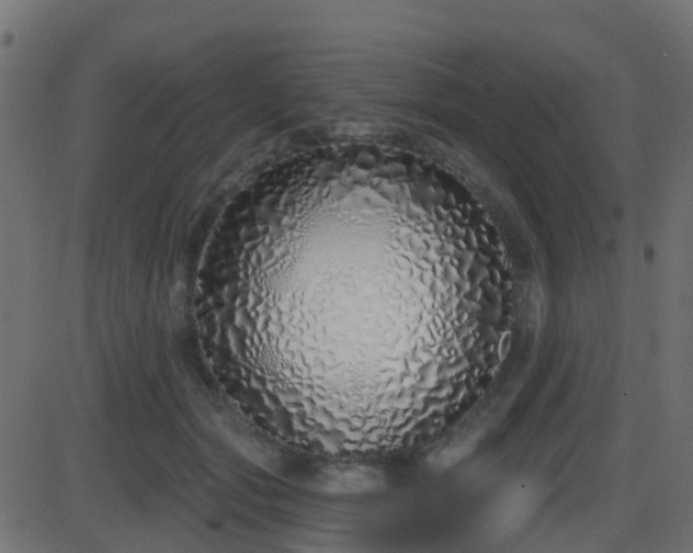 X0000086270557200704051312