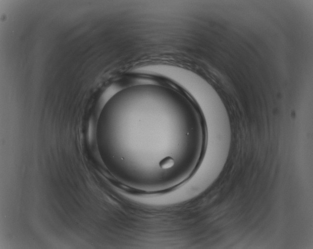 X0000086270558200704051312