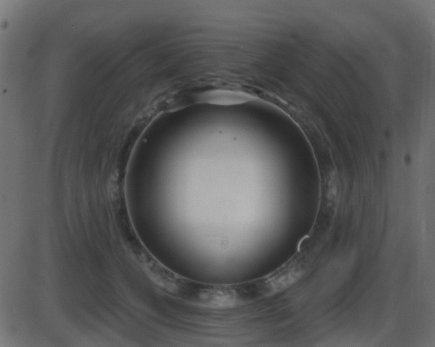 X0000086270559200704051312