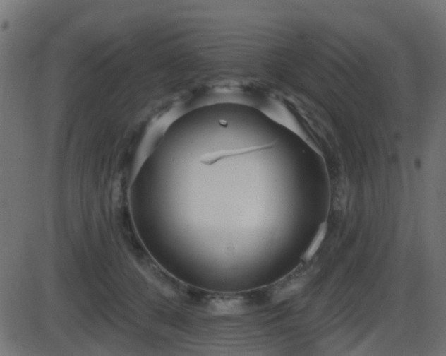 X0000086270560200704051312