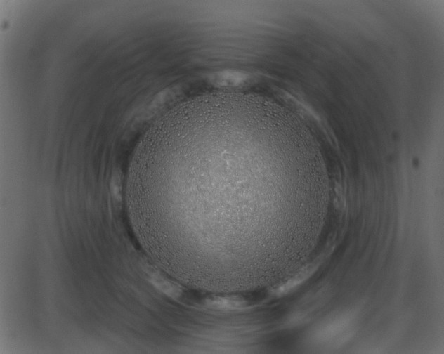 X0000086270561200704051312