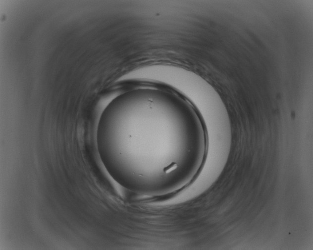 X0000086270562200704051312