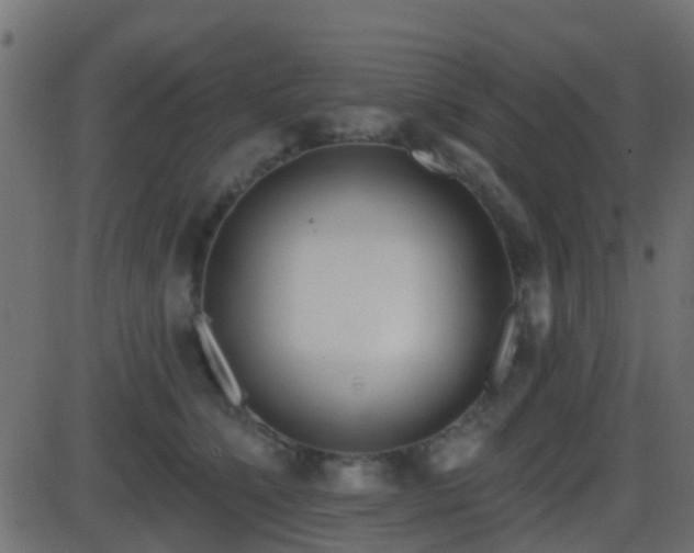 X0000086270564200704051312