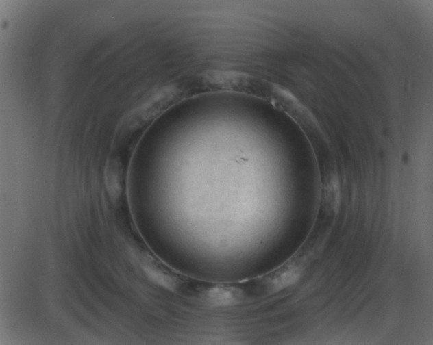 X0000086270566200704051312