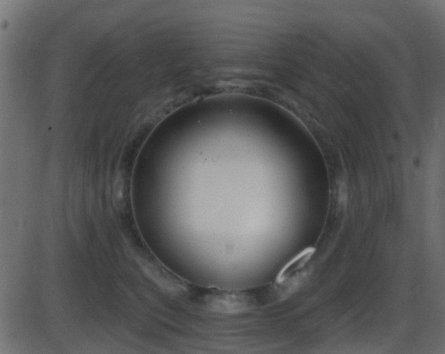 X0000086270567200704051312