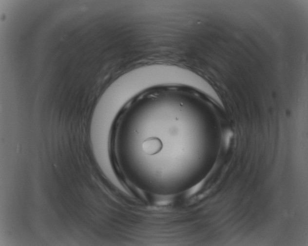 X0000086270568200704051312