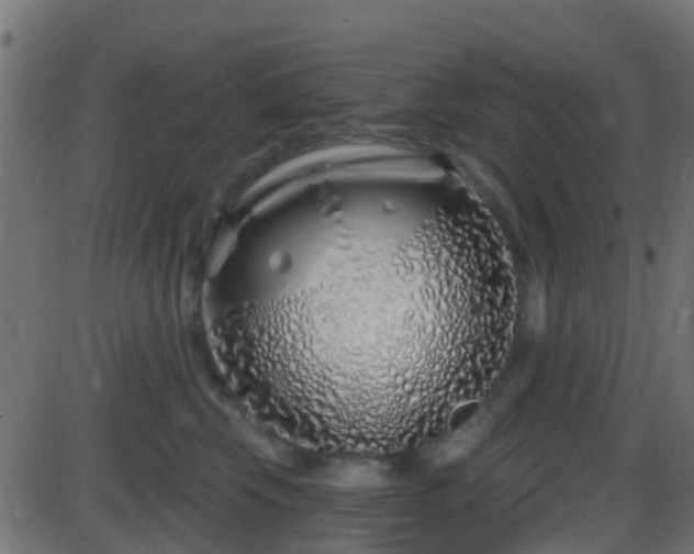 X0000086270569200704051312