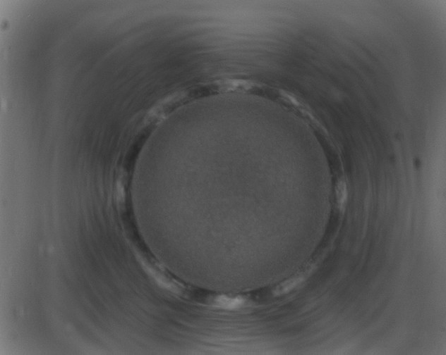 X0000086270570200704051312