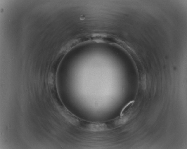 X0000086270571200704051312