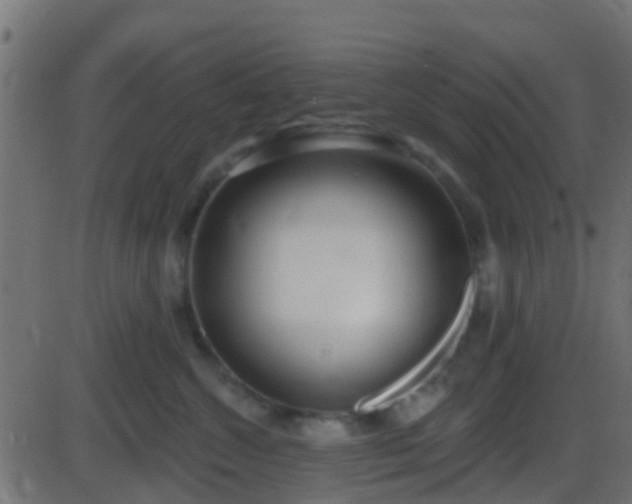 X0000086270572200704051312