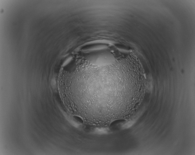 X0000086270573200704051312