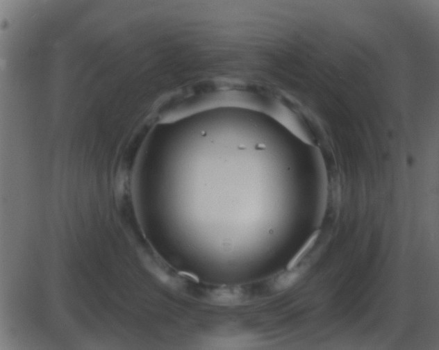 X0000086270574200704051312