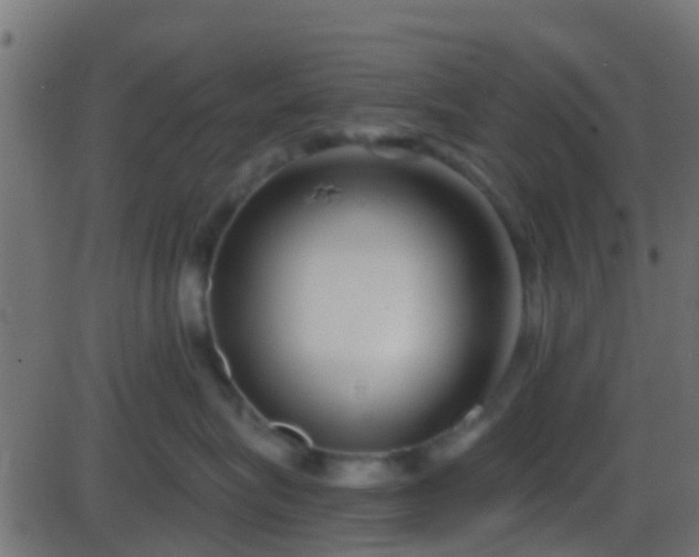 X0000086270575200704051312