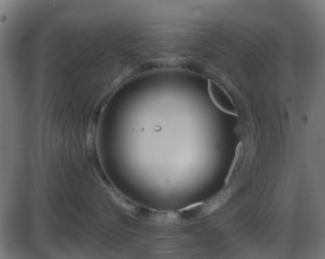 X0000086270576200704051312