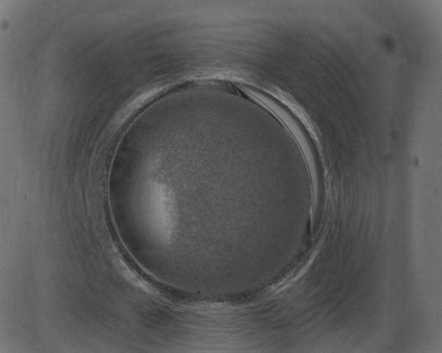 X0000086270577200704051312