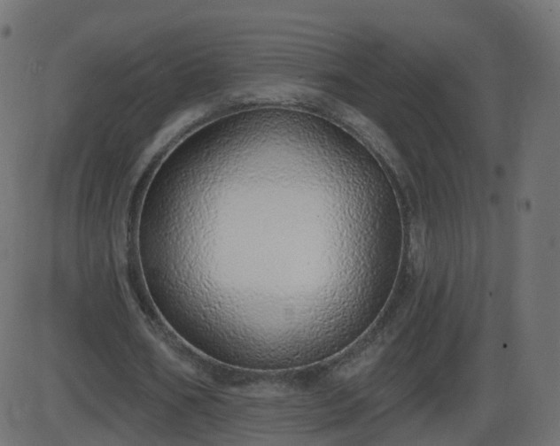 X0000086270578200704051311