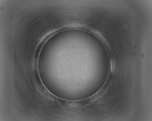 X0000086270579200704051311