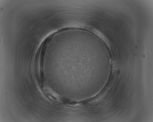 X0000086270580200704051311