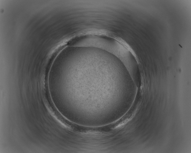 X0000086270581200704051311