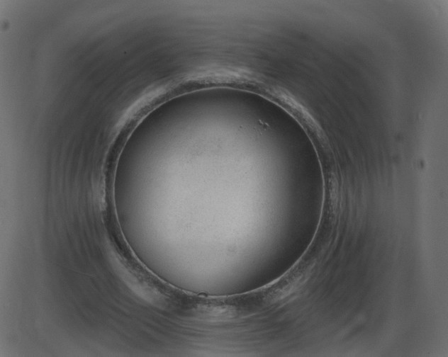 X0000086270582200704051311