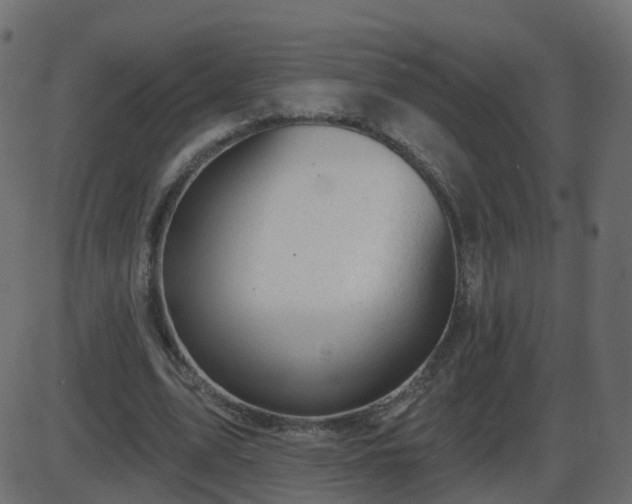 X0000086270583200704051311