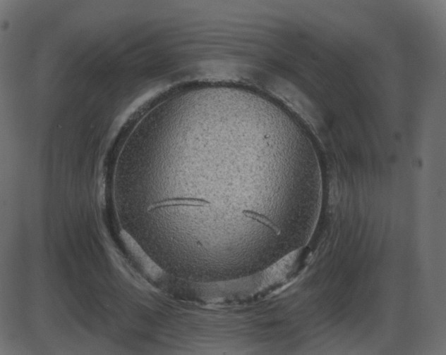 X0000086270584200704051311