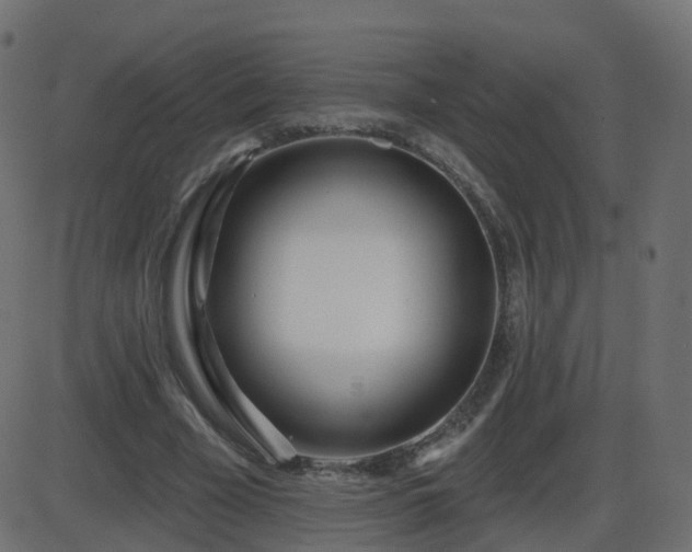 X0000086270585200704051311