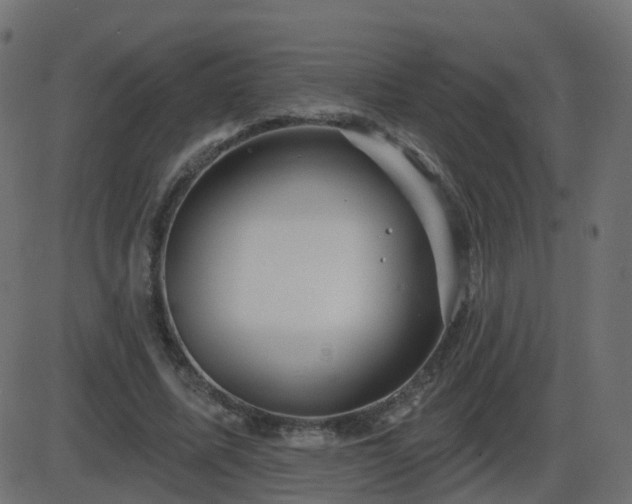 X0000086270587200704051311