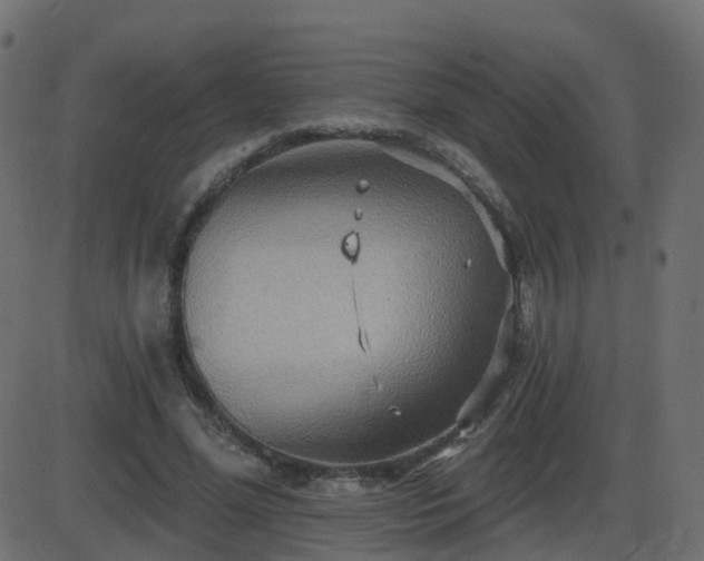 X0000086270588200704051311