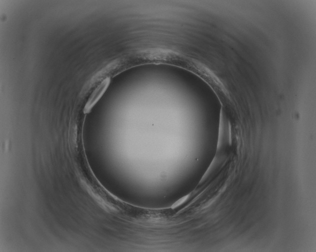 X0000086270589200704051311