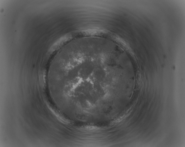 X0000086270590200704051311