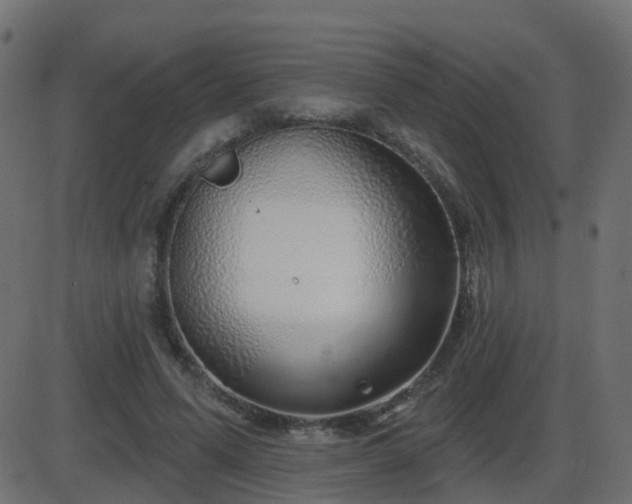 X0000086270591200704051311